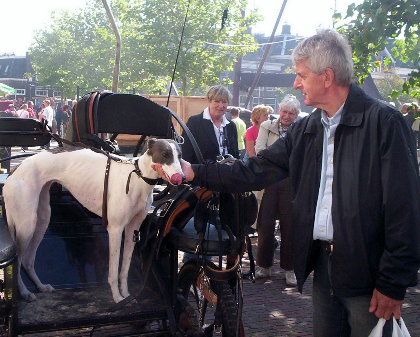 klaas kaaskooper  galgo